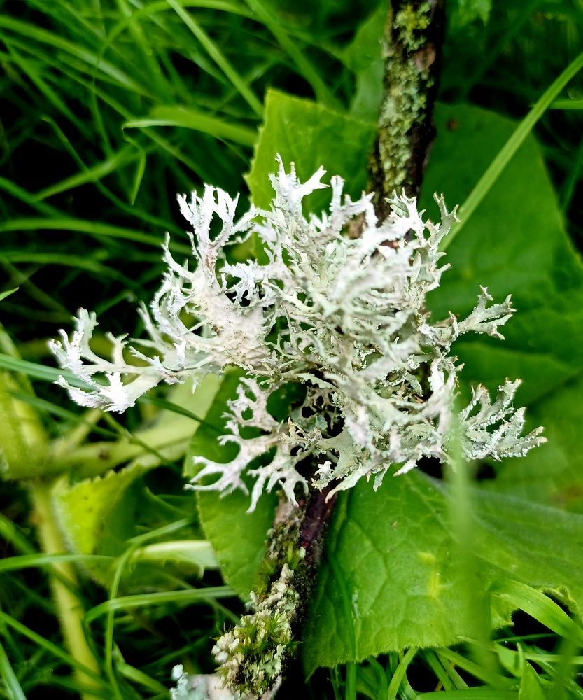 Photograph by Елена Немешаева