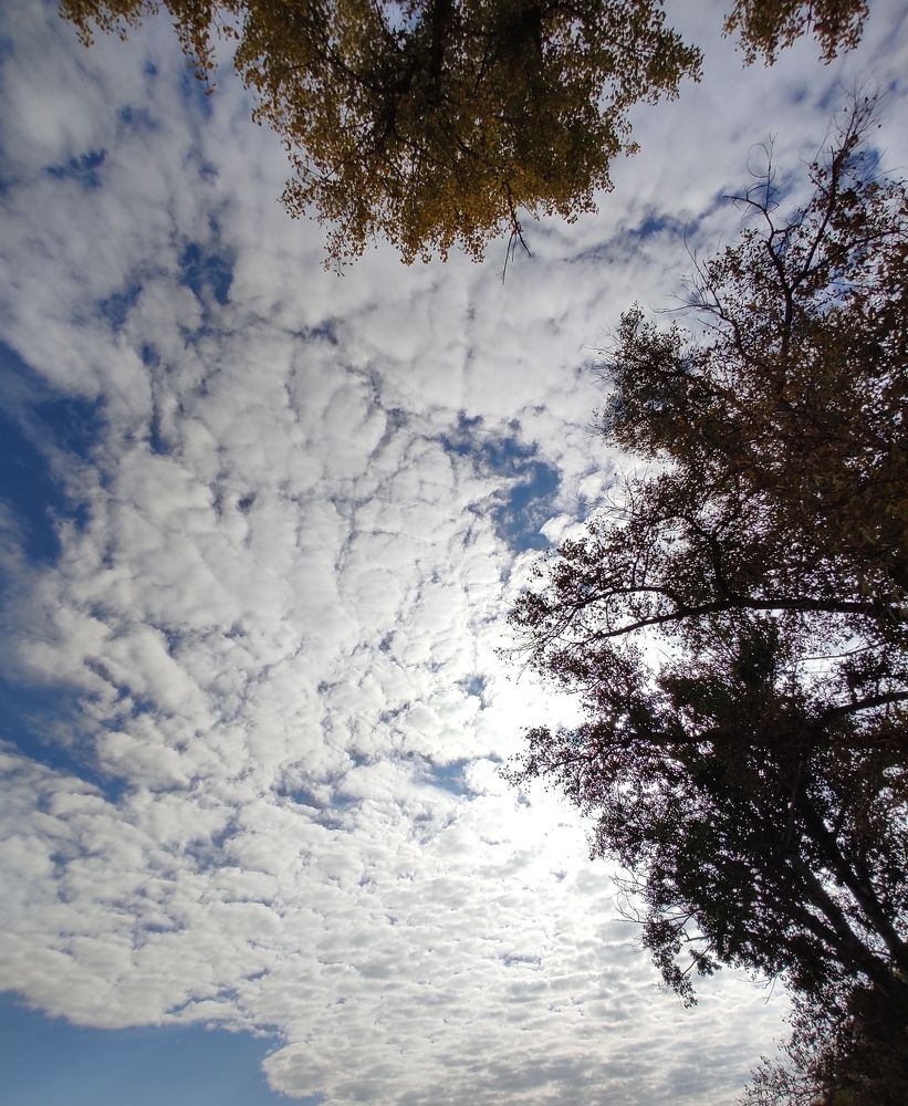 Photograph by Мирошниченко Фаина