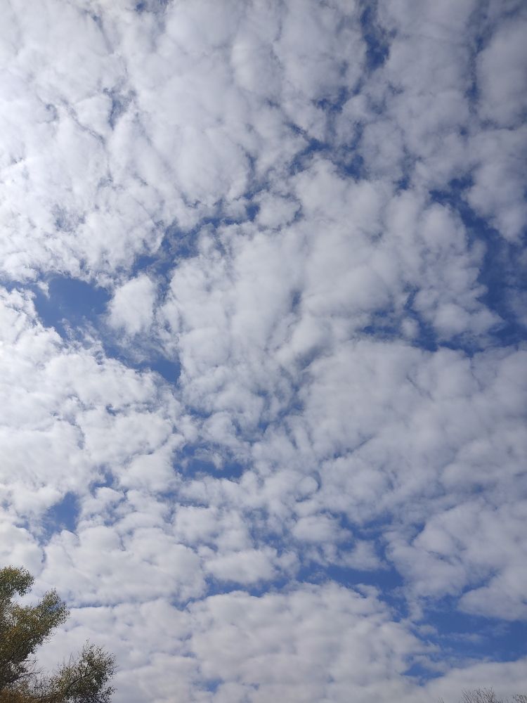 Photograph by Мирошниченко Фаина