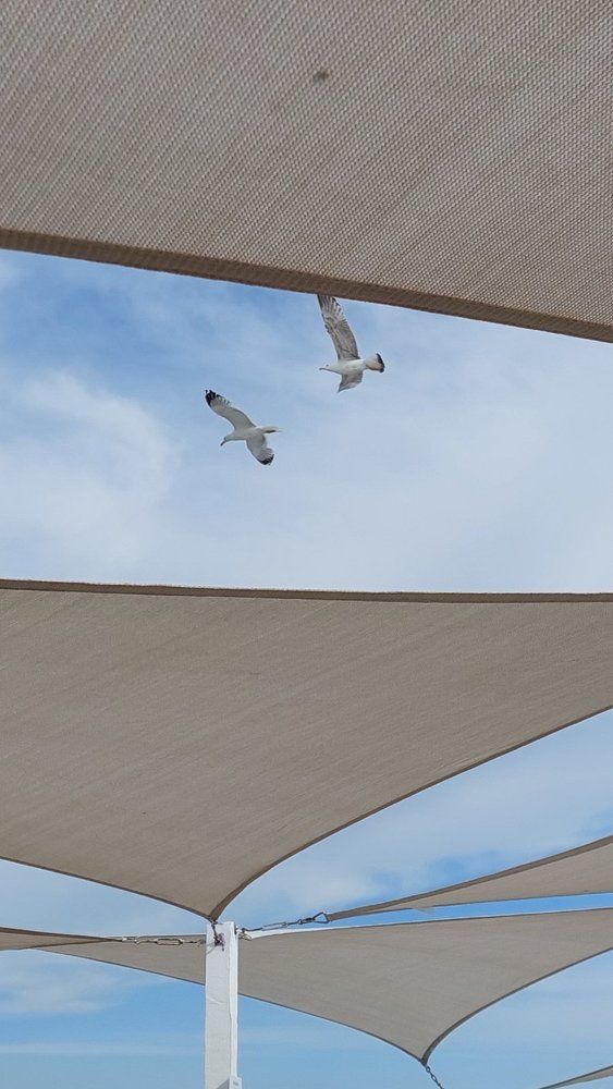 Photograph by Svitlana Usatenko