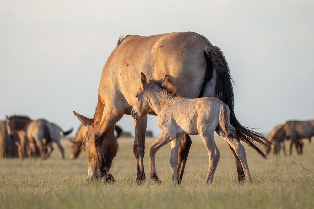 Photograph by Ирина Мошковская