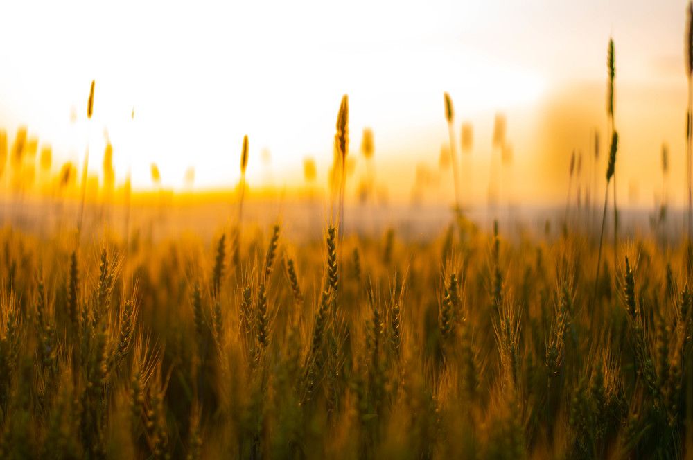 Photograph by Ангелина Ларина