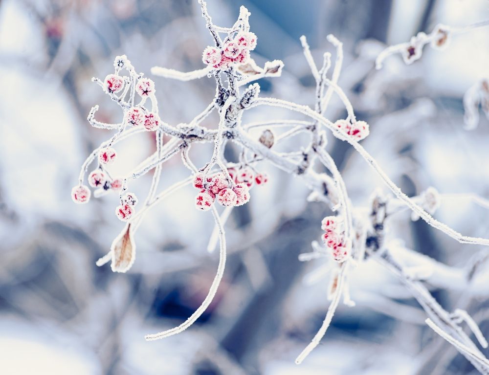 Photograph by Алексей Патрушев