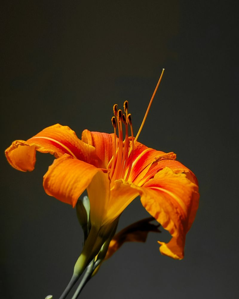 Photograph by Наталия Дроздова