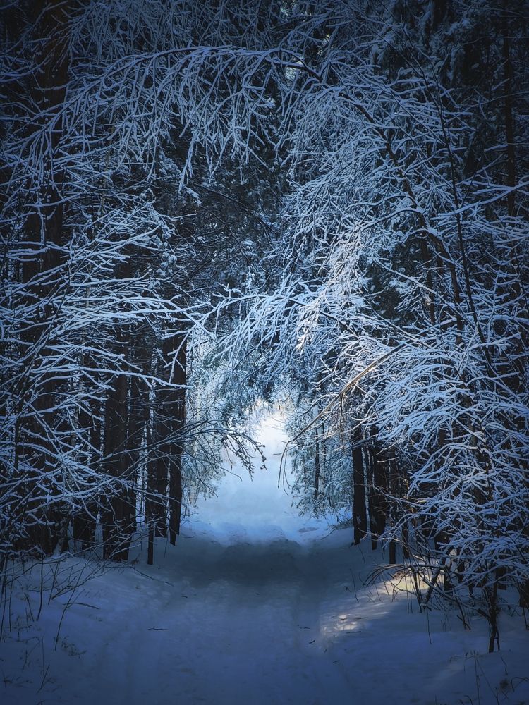 Photograph by Konstantin Martynov