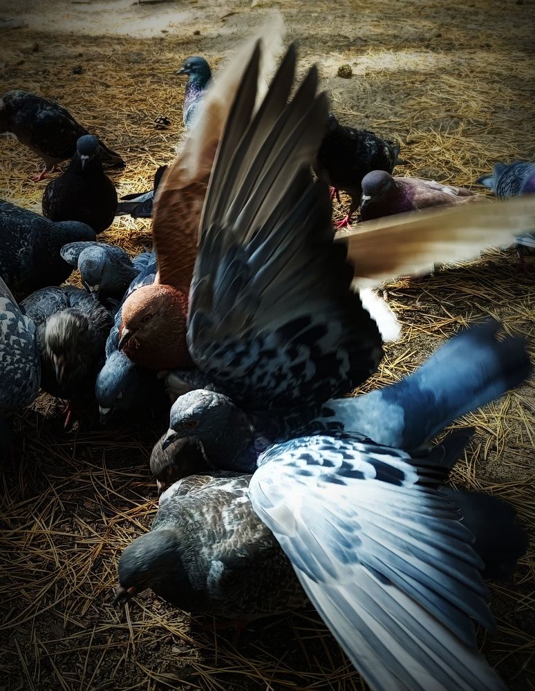 Фотография автора Ola La