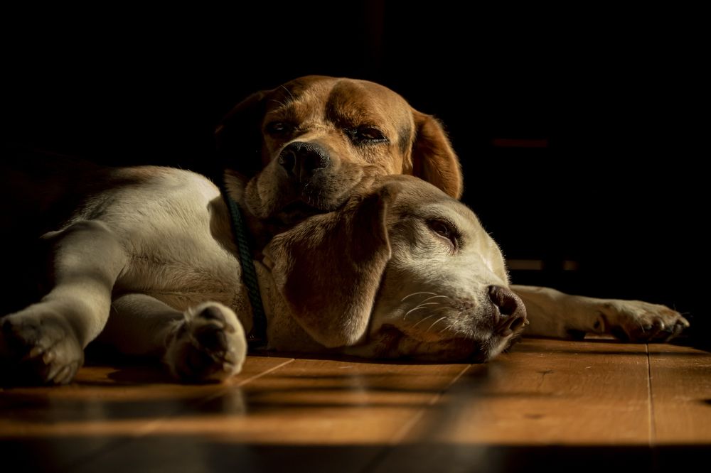 Photograph by Юлия Куликова