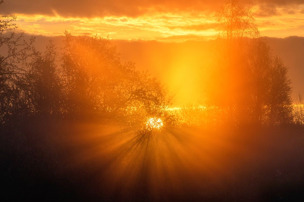 Photograph by Александр Пашеничев