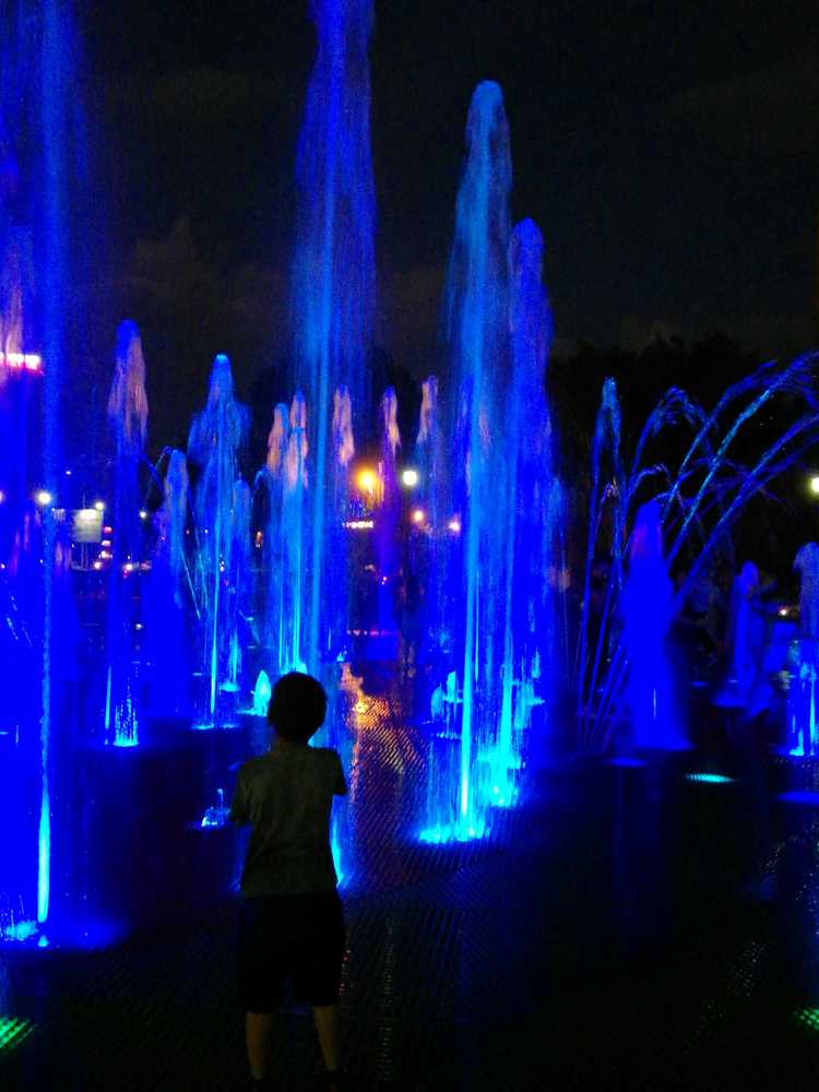 Photograph by Galina Novichkova