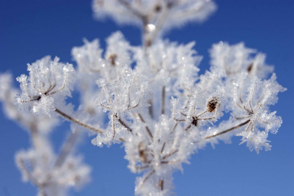 Photograph by Екатерина