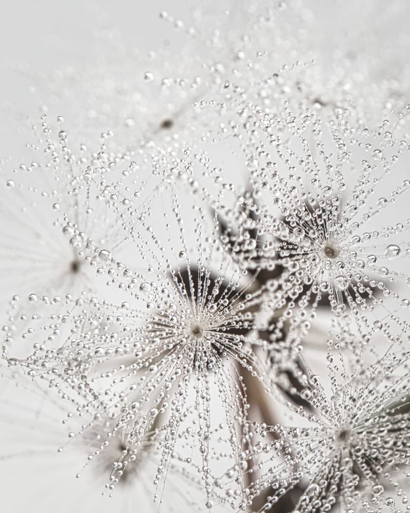 Photograph by Евгения Прокопович