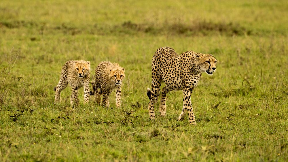 Photograph by Николай Мозгунов