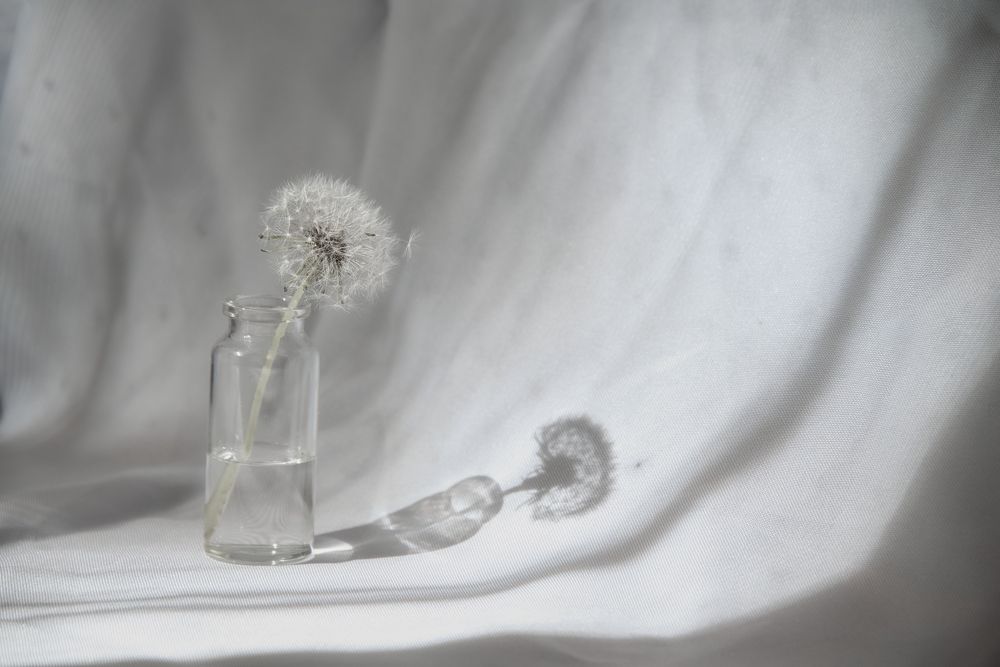 Photograph by Евгения Прокопович