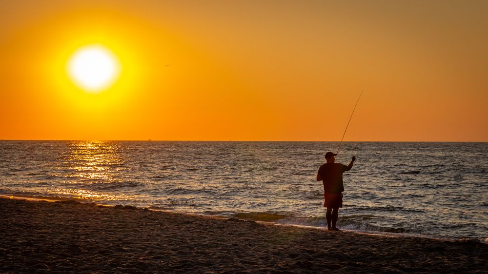 Фотография автора Виталий Панченко