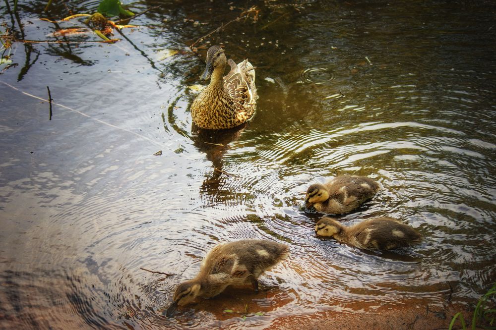 Photograph by Андрей Соколов