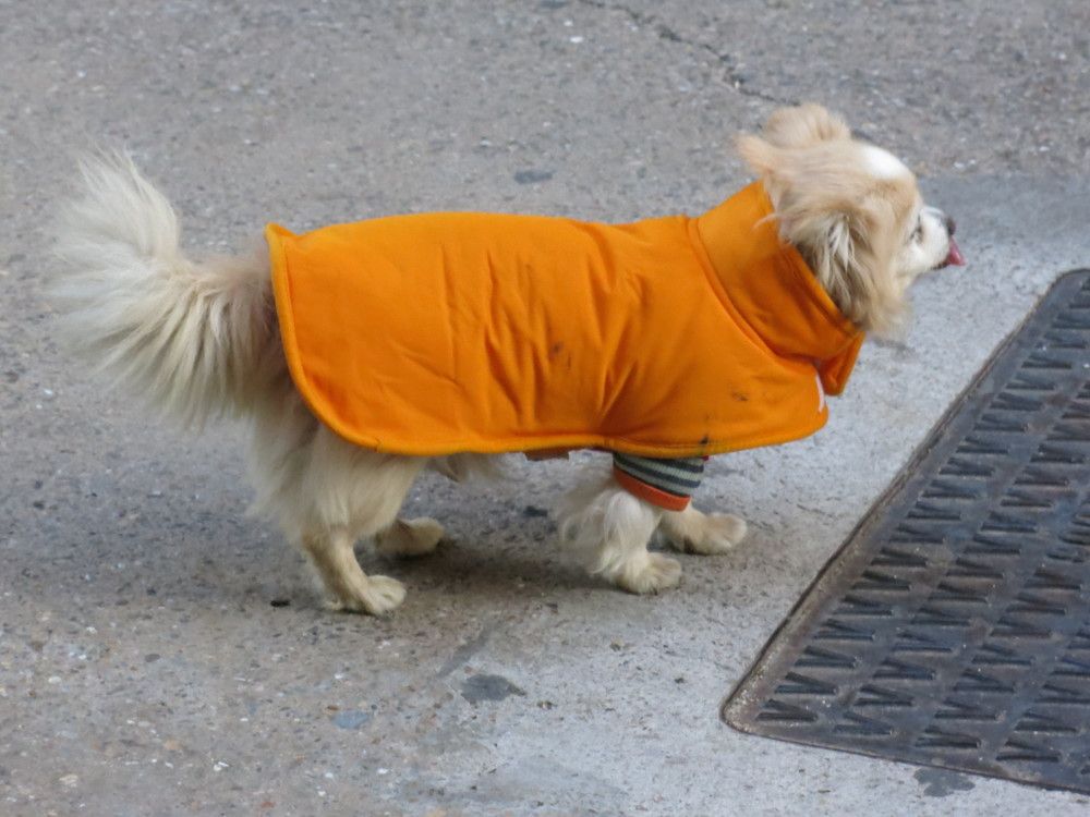 Photograph by ЭЛЬМИРА  ИСМАИЛОВА