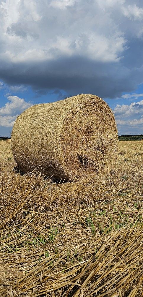 Фотография автора Evgeniia KHOKHLOVA