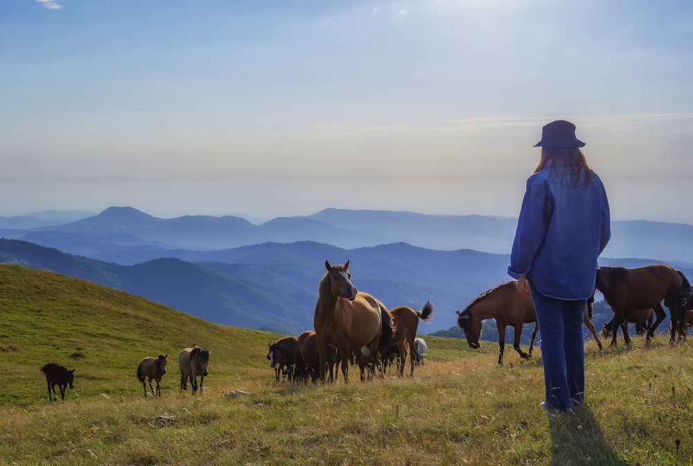 Фотография автора Асрян Севак