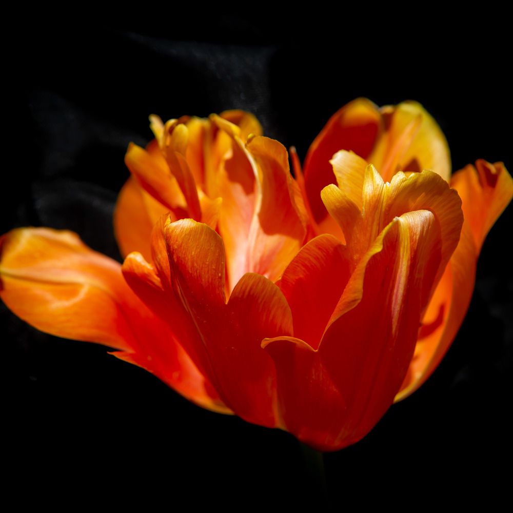 Photograph by Очева Наталья Александровна