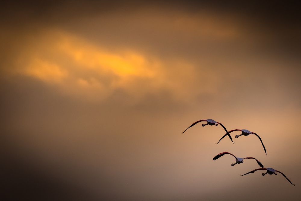 Photograph by M. Luisa Águeda