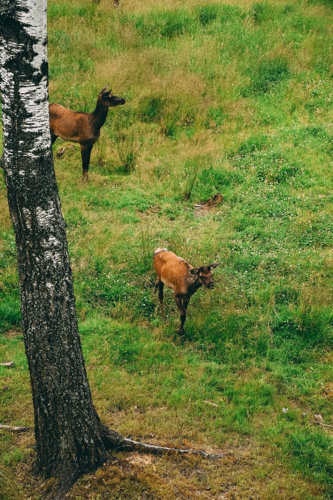 Photograph by Королева Екатерина