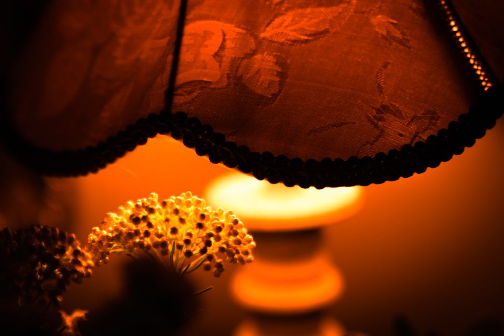 Photograph by M. Luisa Águeda