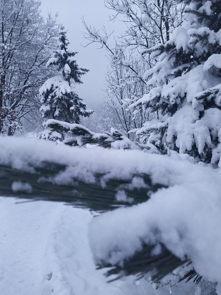 Фотография автора Inna Osminina