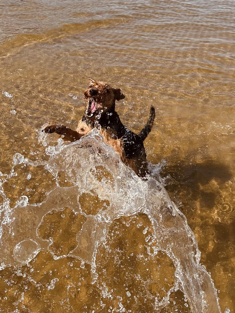 Photograph by Ирина Серегина