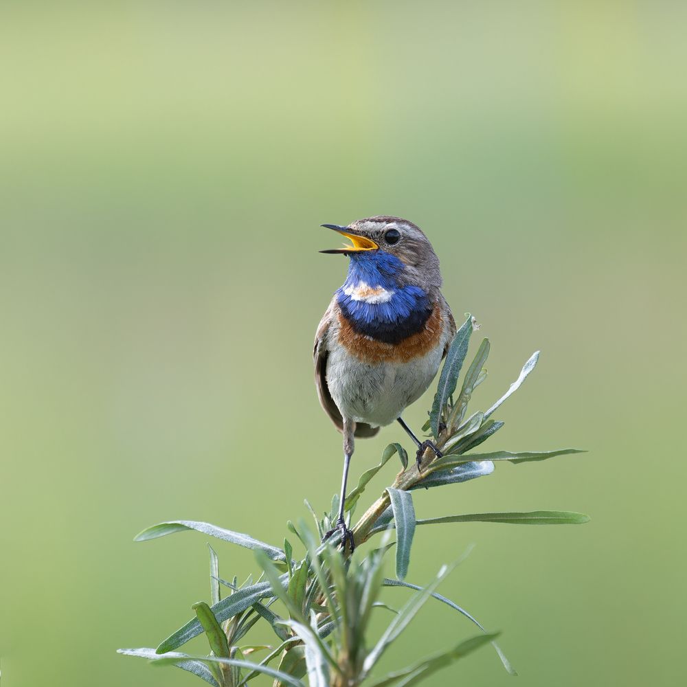 Photograph by Акулов Александр
