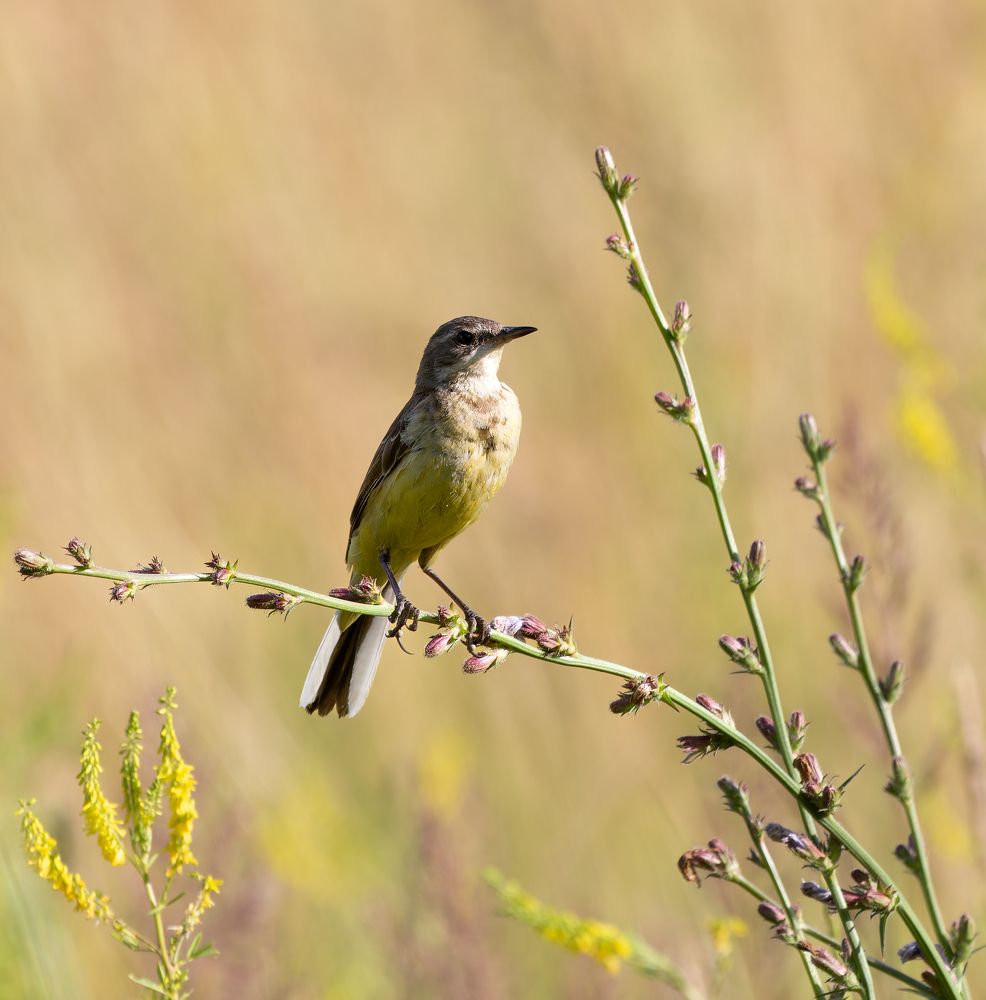 Photograph by Акулов Александр