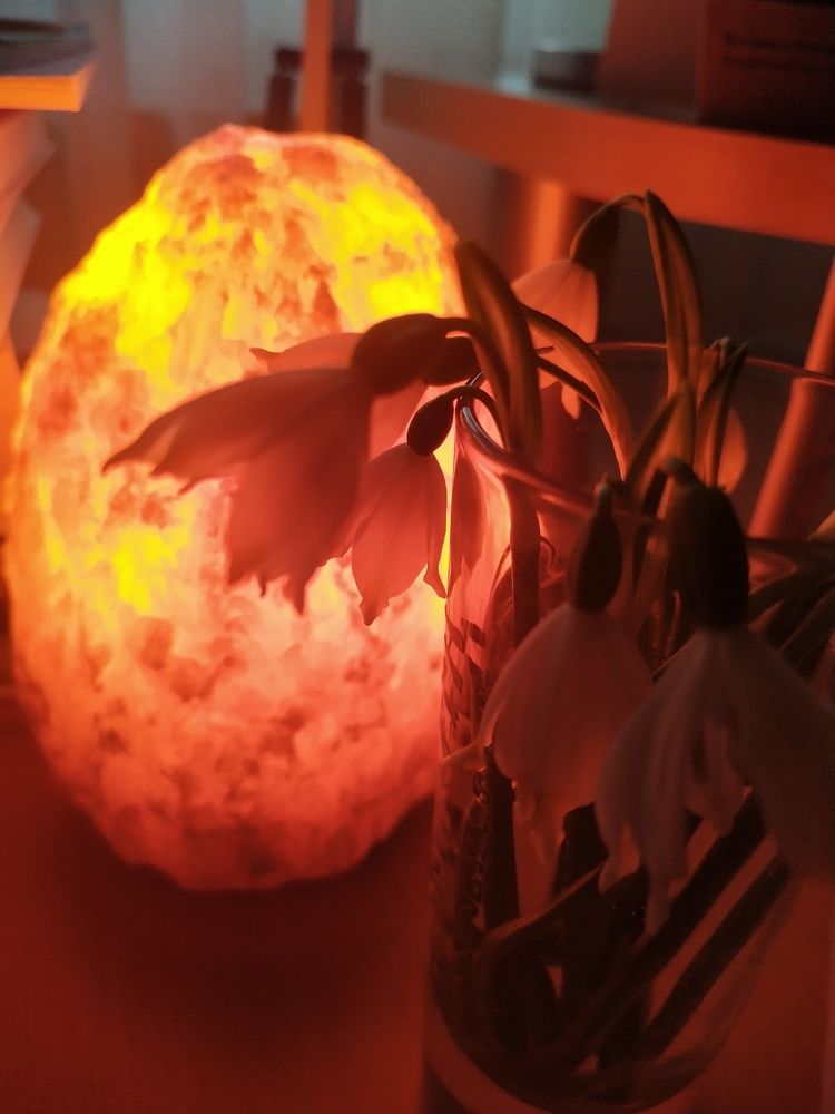 Фотография автора Inna Osminina