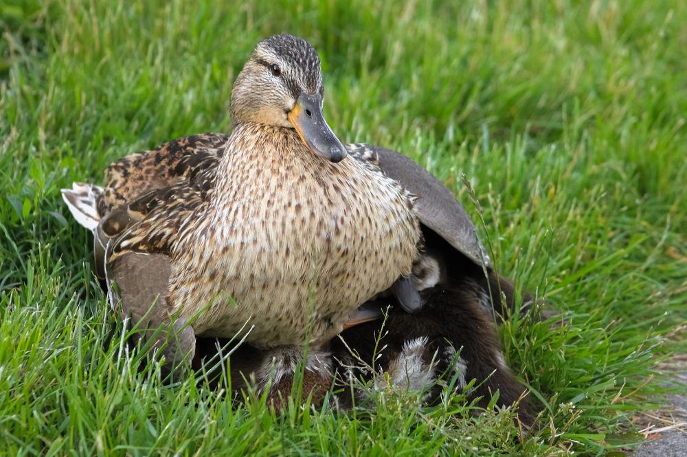 Photograph by Aleksandra