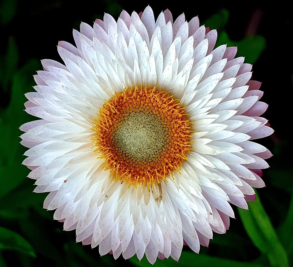 Photograph by Яна Галимуллина