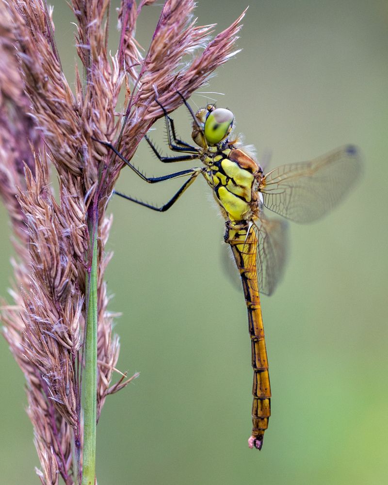 Photograph by Михаил