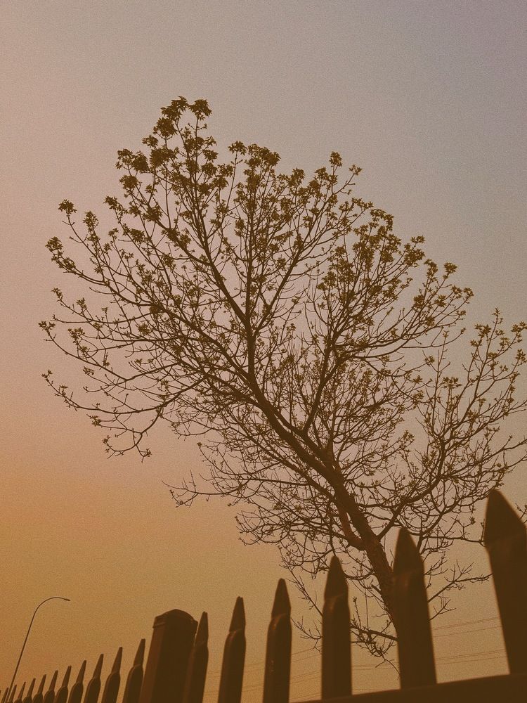 Photograph by Feden Simon