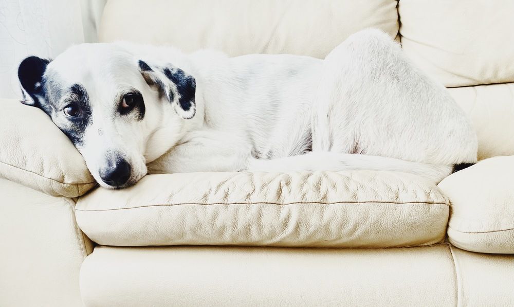 Фотография автора Galina Sa