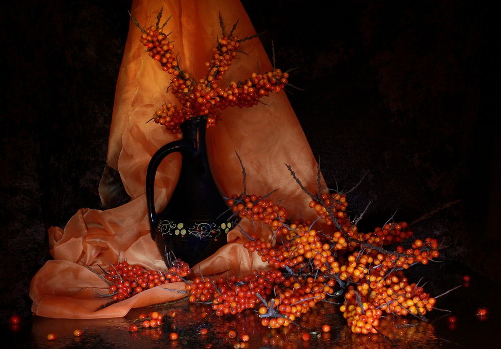 Фотография автора Nelya  Lysenko