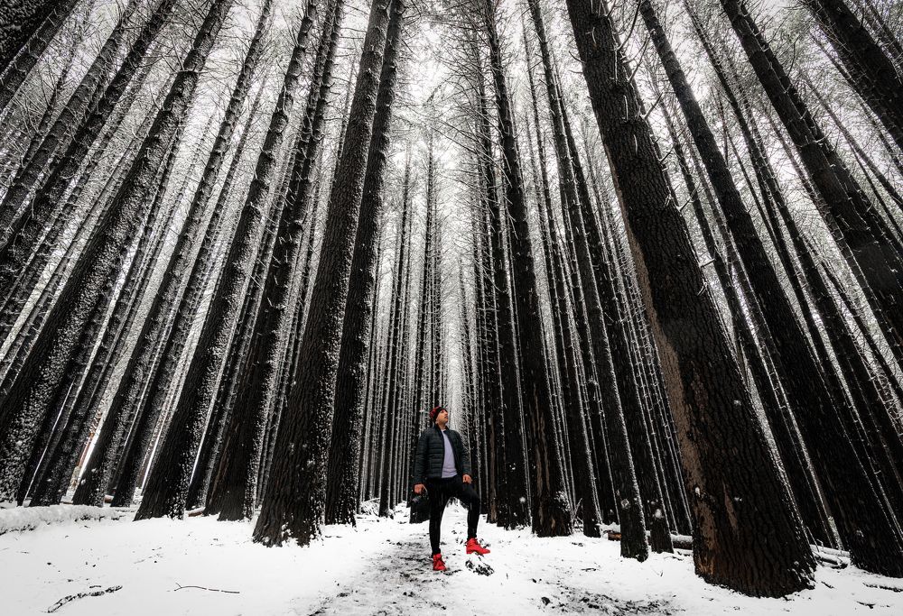 Photograph by Fascinating Imagery