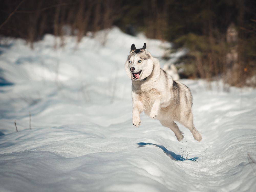Photograph by Даниил Гладышев