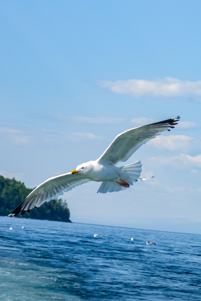 Photograph by Ирина Петракович