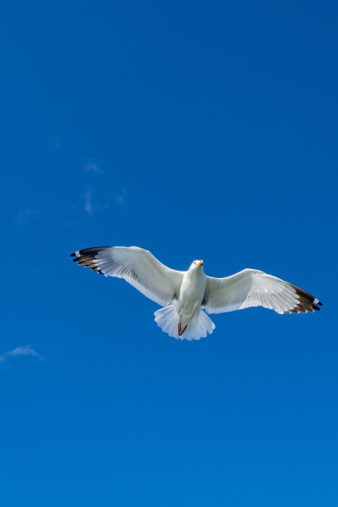 Photograph by Ирина Петракович