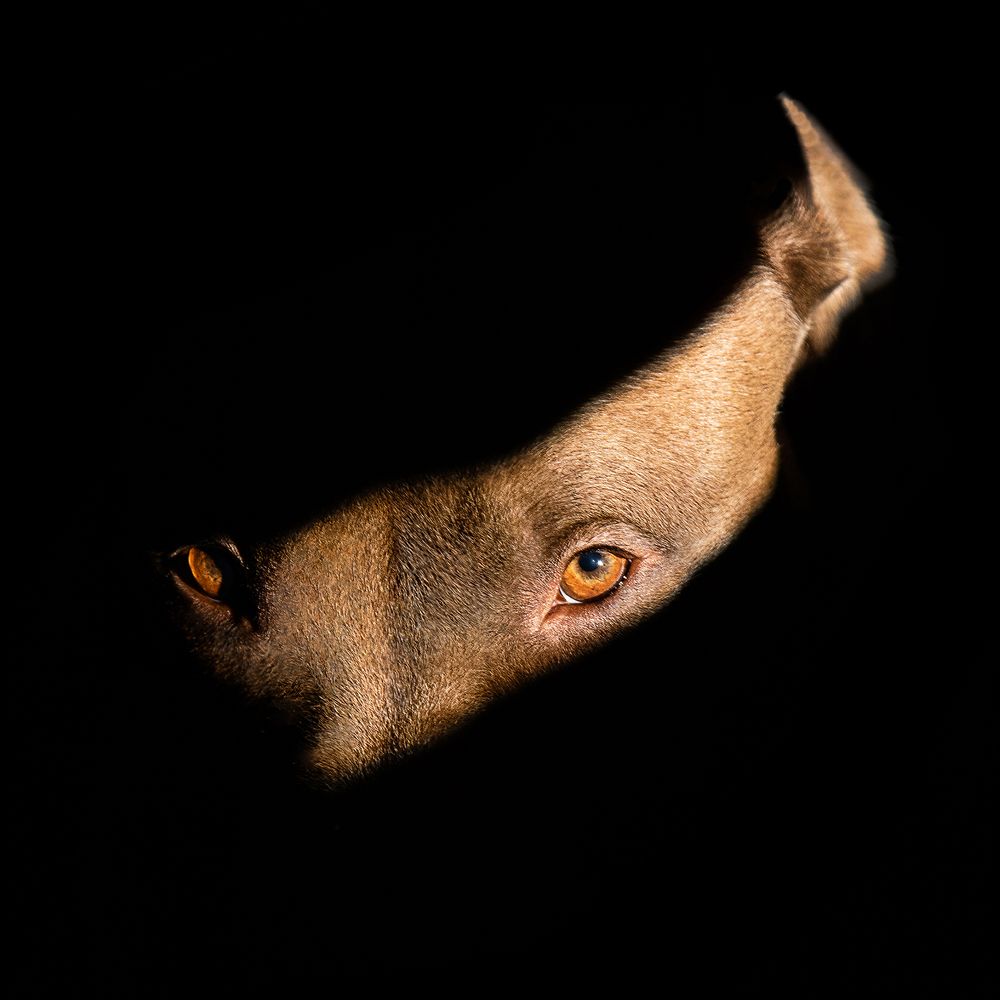 Photograph by Aleksei Kazakov