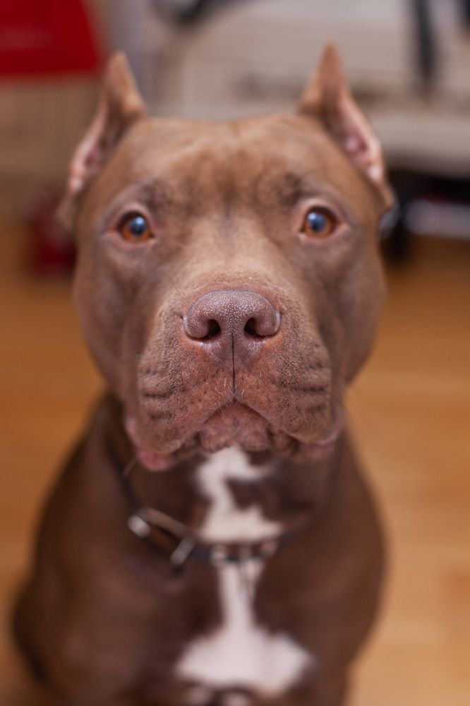 Photograph by Aleksei Kazakov