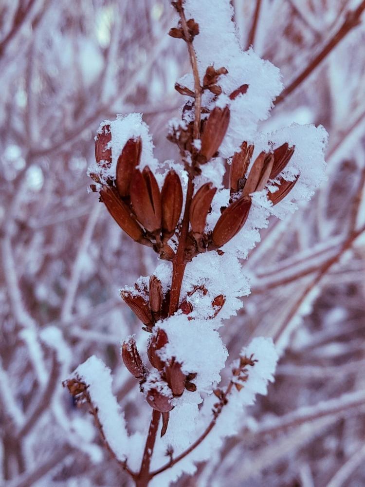 Photograph by Ксения