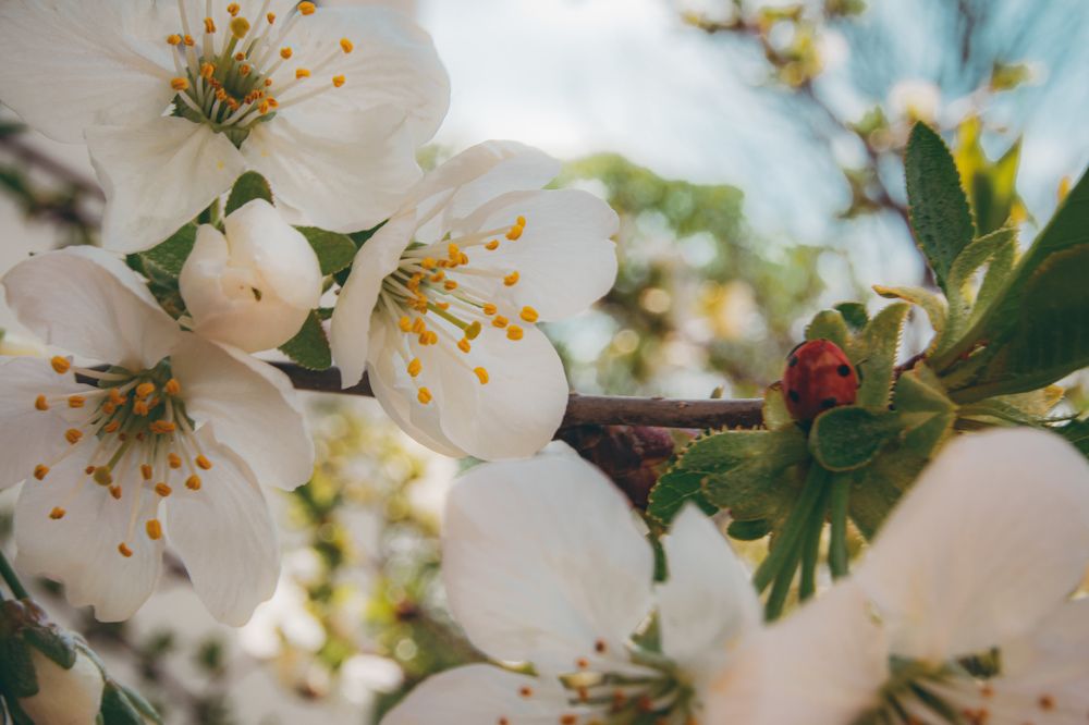 Photograph by Екатерина Мурсынина