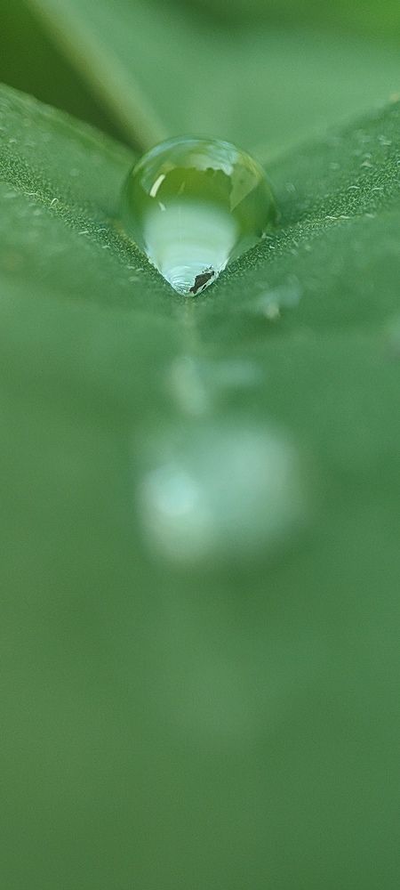 Photograph by Sankar P