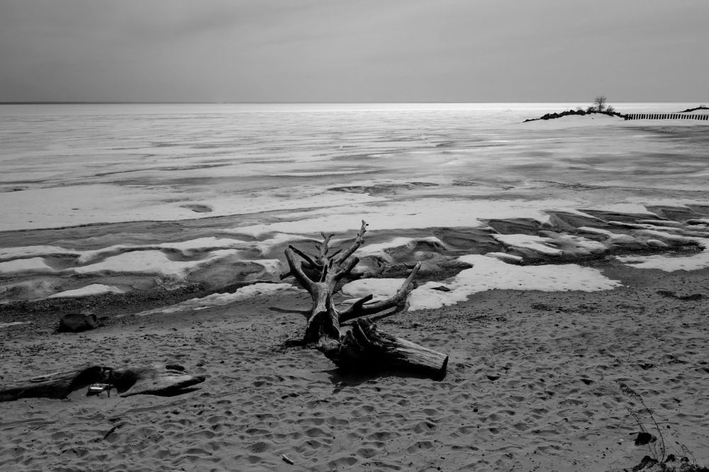 Photograph by Сергей Гребенников