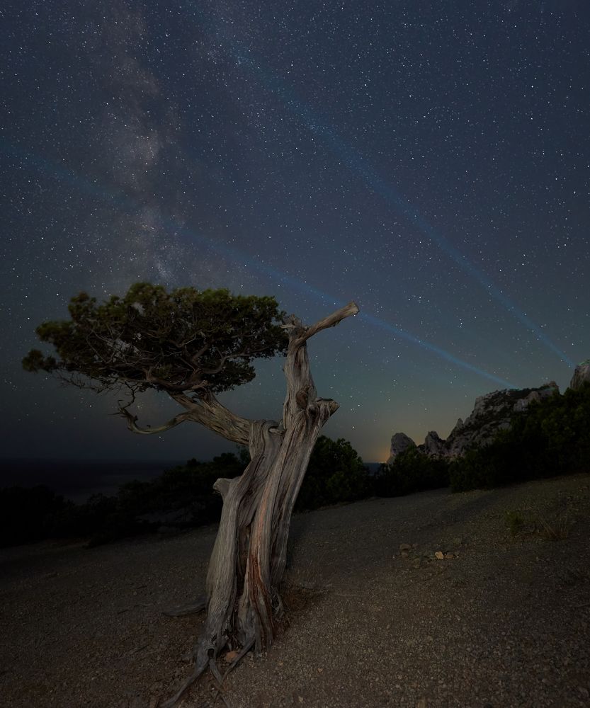 Photograph by Андрей Прищепин