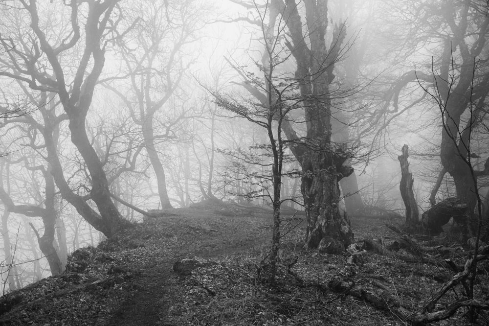 Photograph by Андрей Прищепин