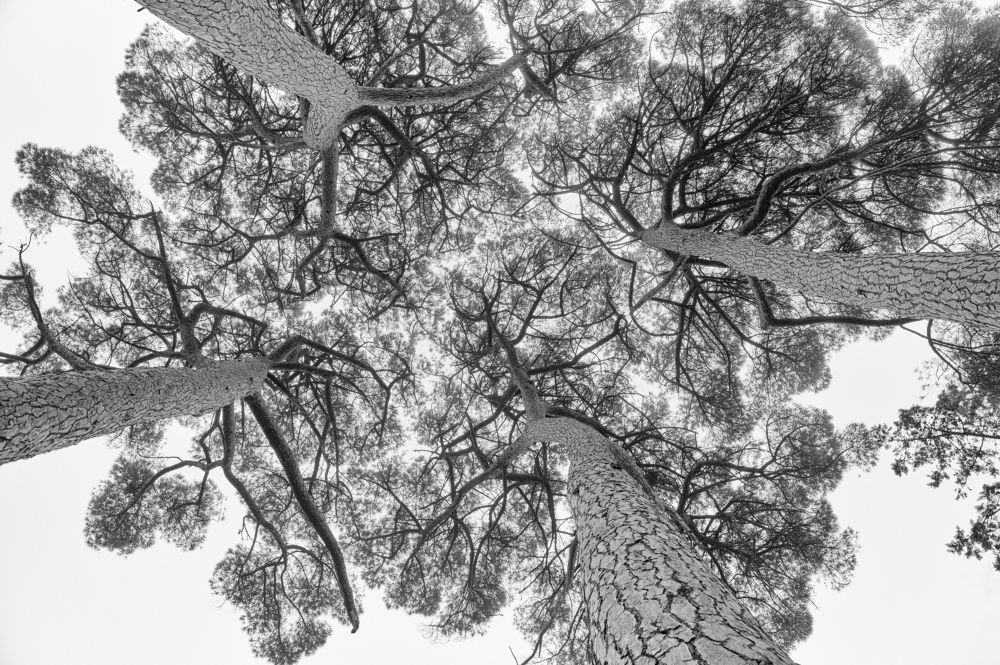 Photograph by Андрей Прищепин